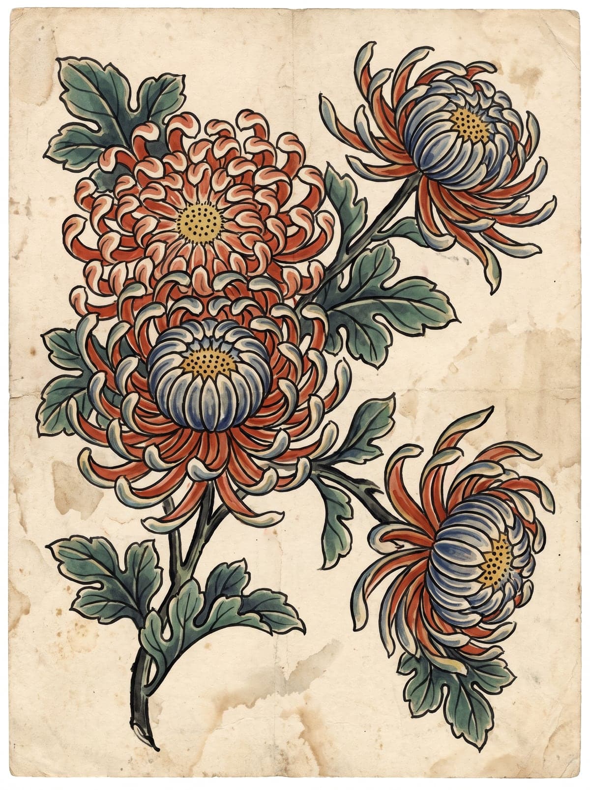 Chrysanthemum (Kiku) irezumi art plate