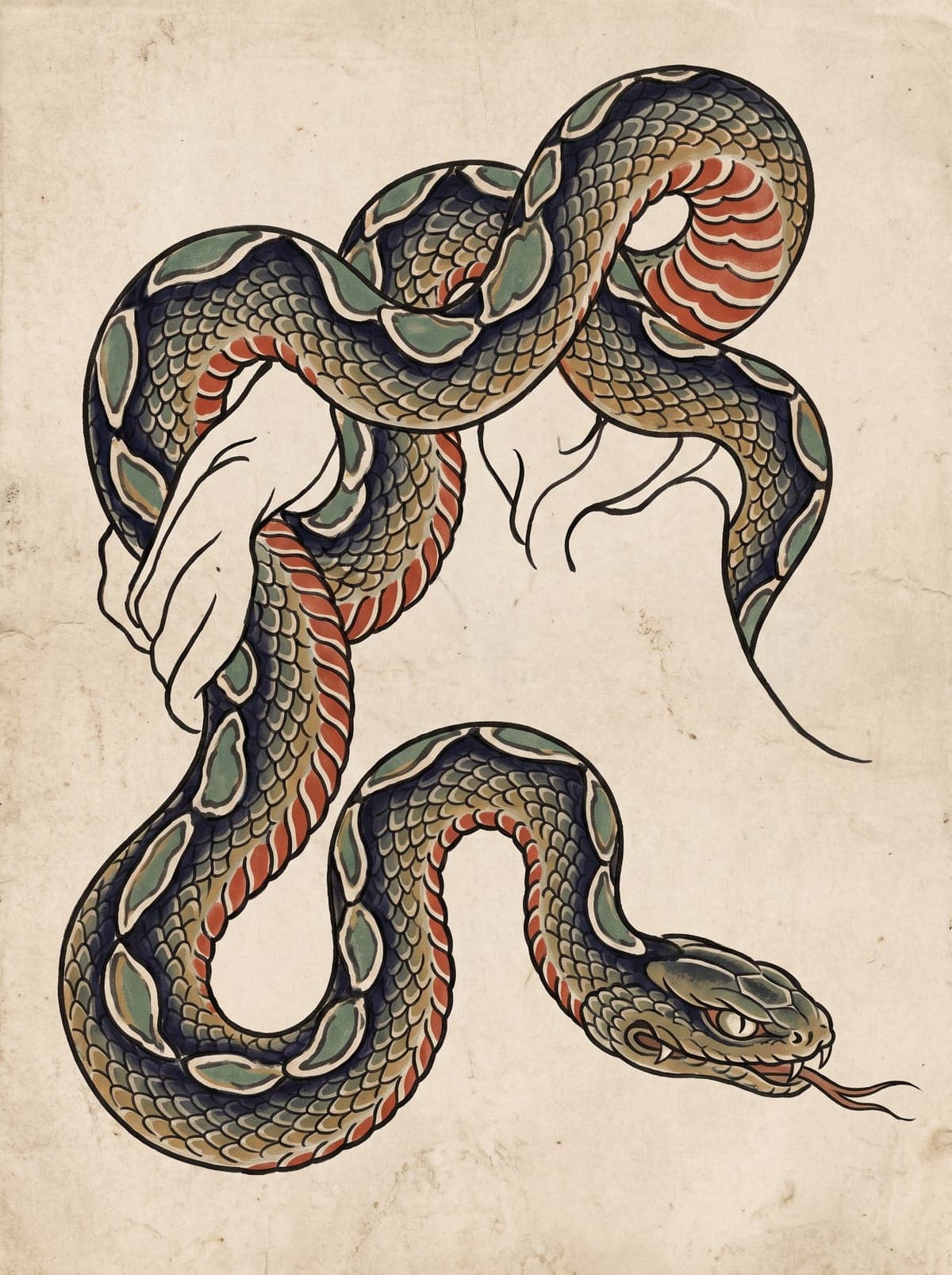 Snake (Hebi) irezumi art plate