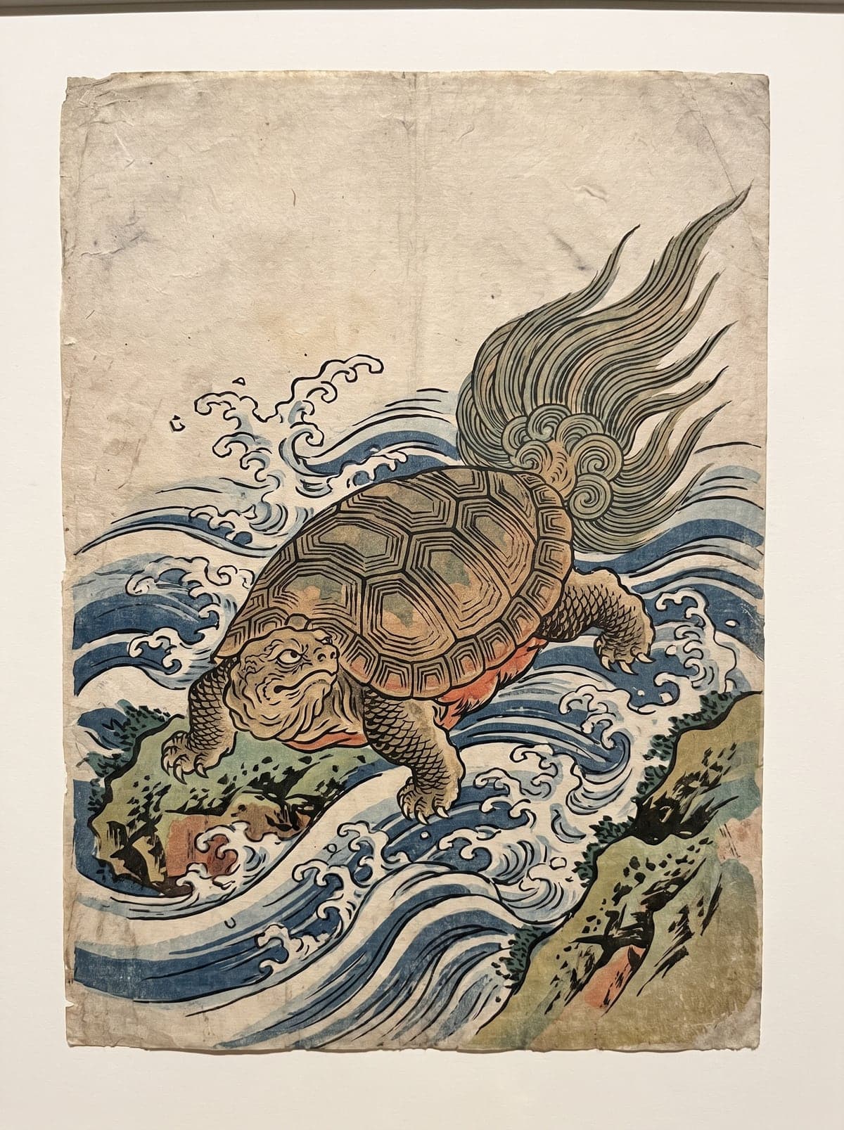 Turtle (Kame / Minogame) irezumi art plate